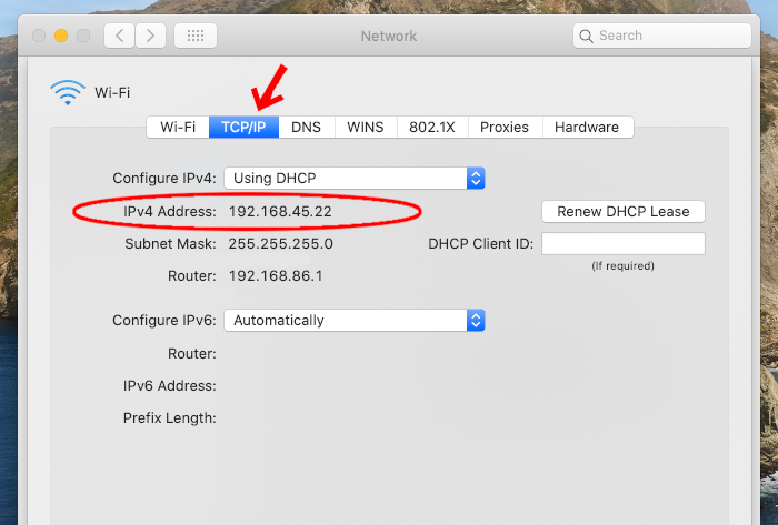 Where to find your IP on a Mac