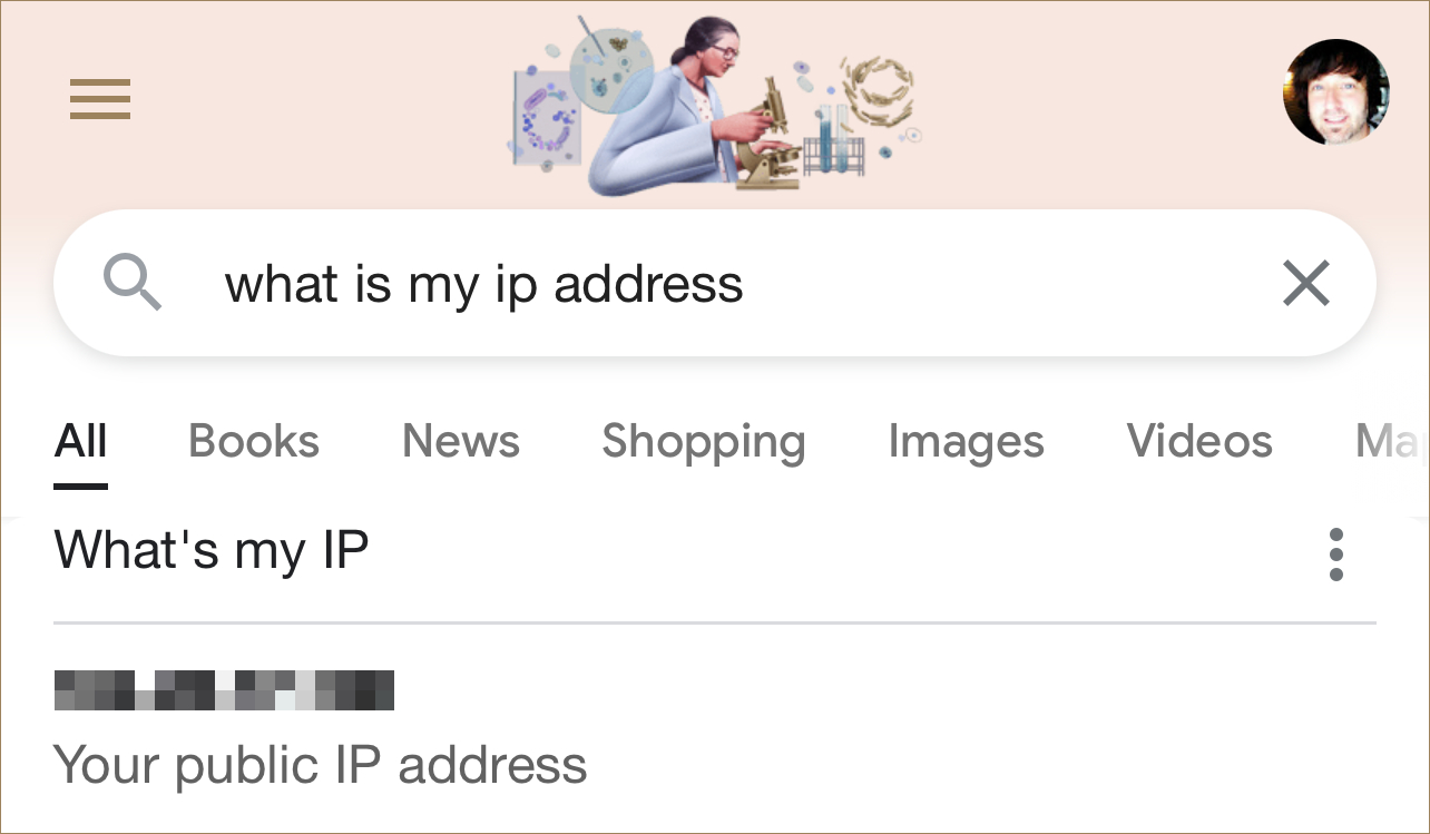 Find Your IP Address on Google
