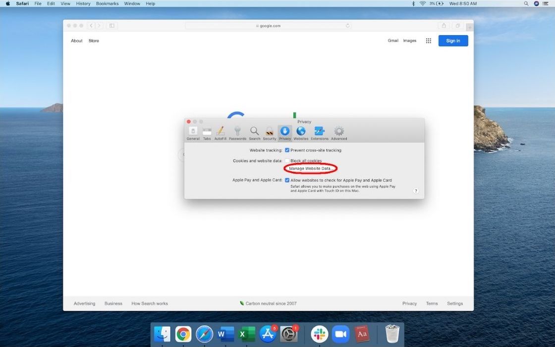 Screenshot of Safari showing the option to Manage website data